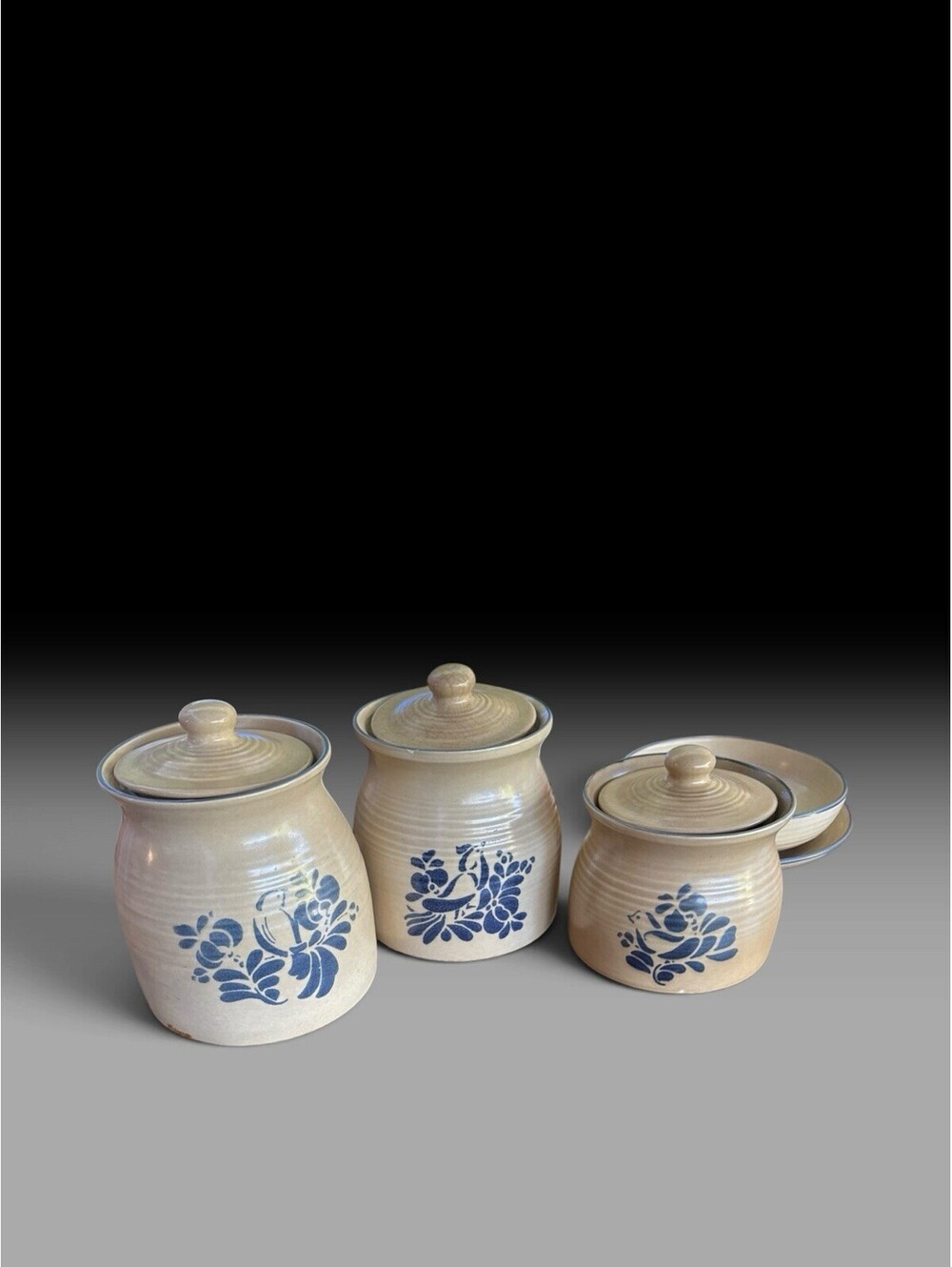 Pfaltzgraff 4 Piece Folk Art/Blue Bird Canister Set. Plates And Bowl 12 Piece